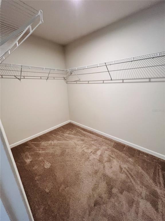 Building Photo - 308 Fiddlewood Ct