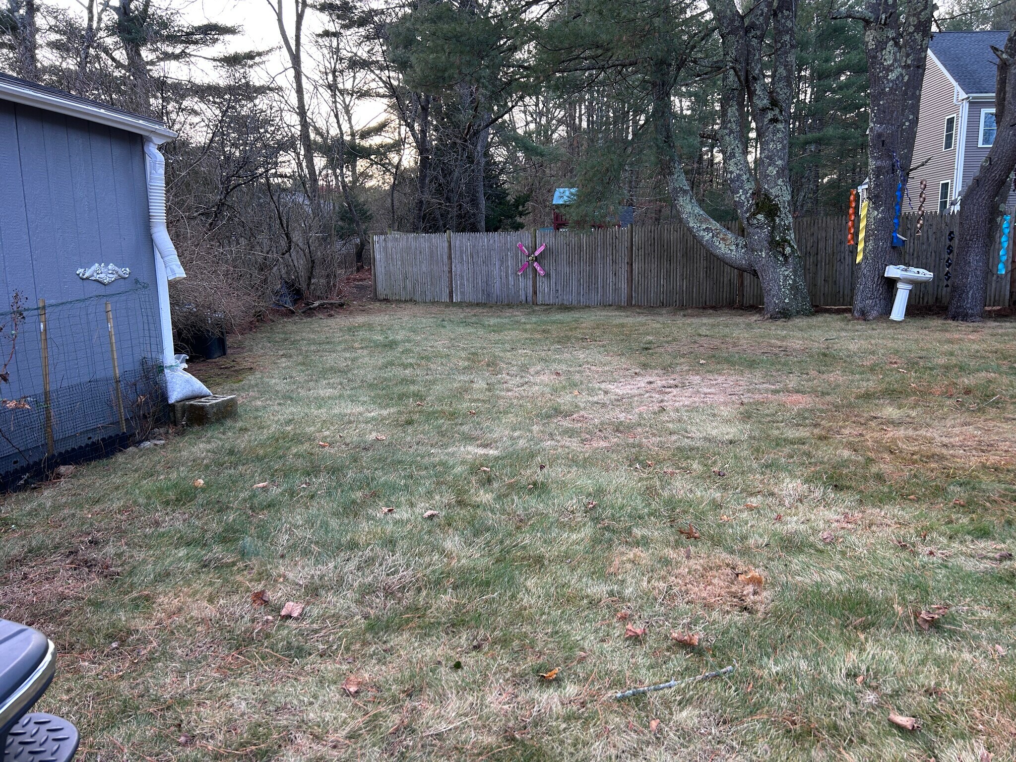 Yard - 29 Lakeview Rd