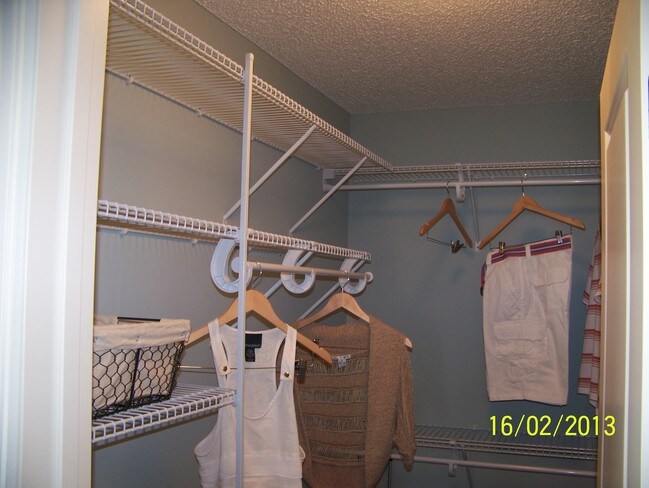 Building Photo - 2145 Cedar Grove Trail