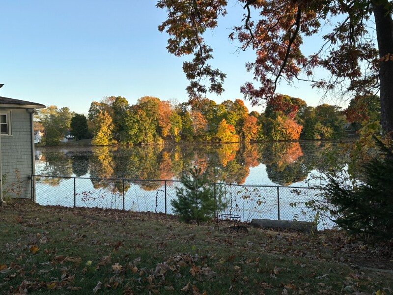 Building Photo - 98 Linwood St