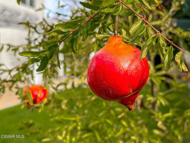 Building Photo - 780 Paseo De Leon