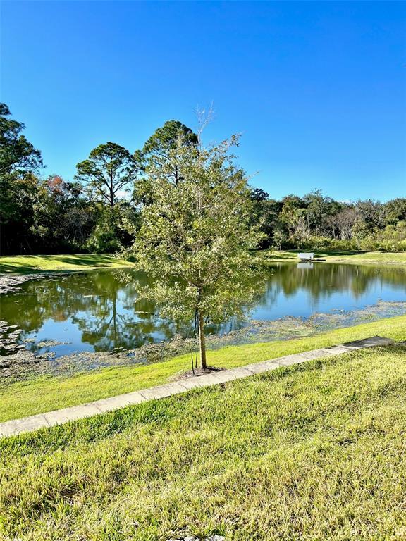 Building Photo - 1398 Captiva Cv