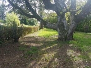 Building Photo - Newly Updated! 3 Bed/2 Bath House on a Large Lot!