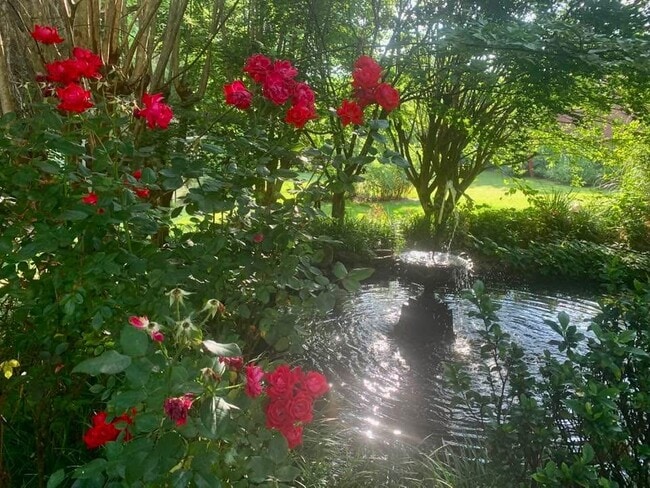 Building Photo - 49 Duke St