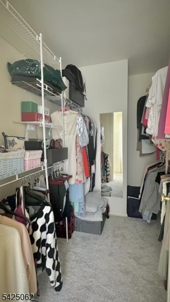 Building Photo - 2805 Johnson Cir