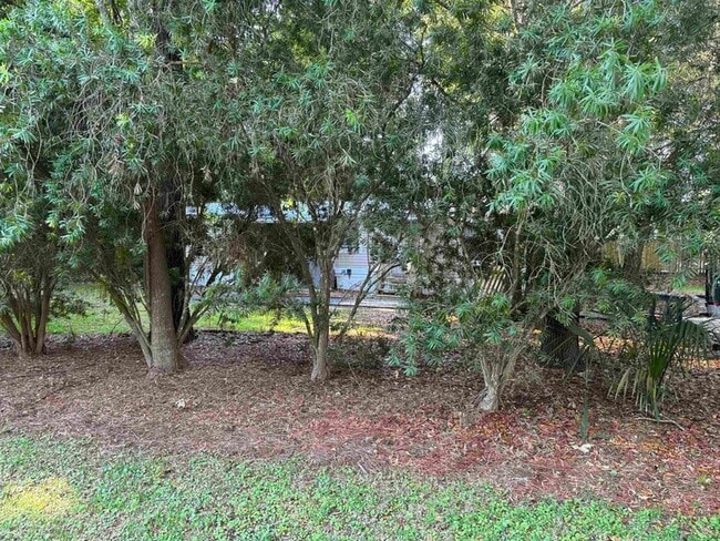 Building Photo - 4430 Manucy Rd