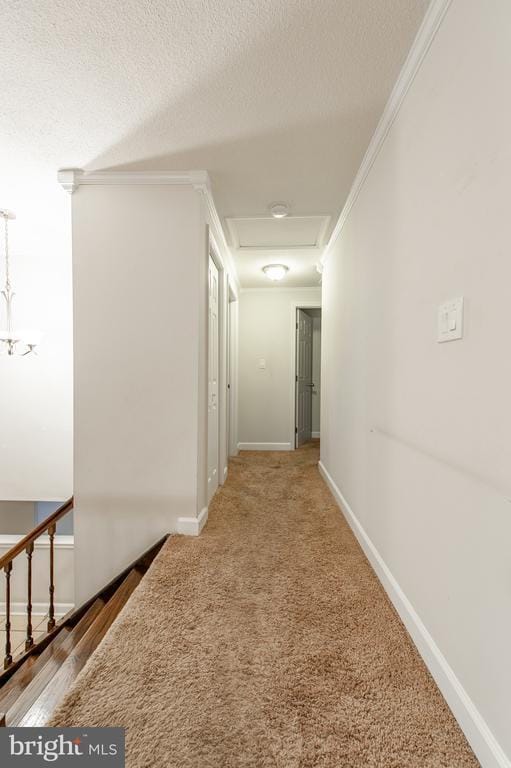 Building Photo - 1709 Dogwood Dr