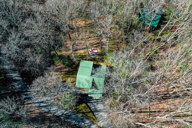 Building Photo - 348 The Forest Has Eyes