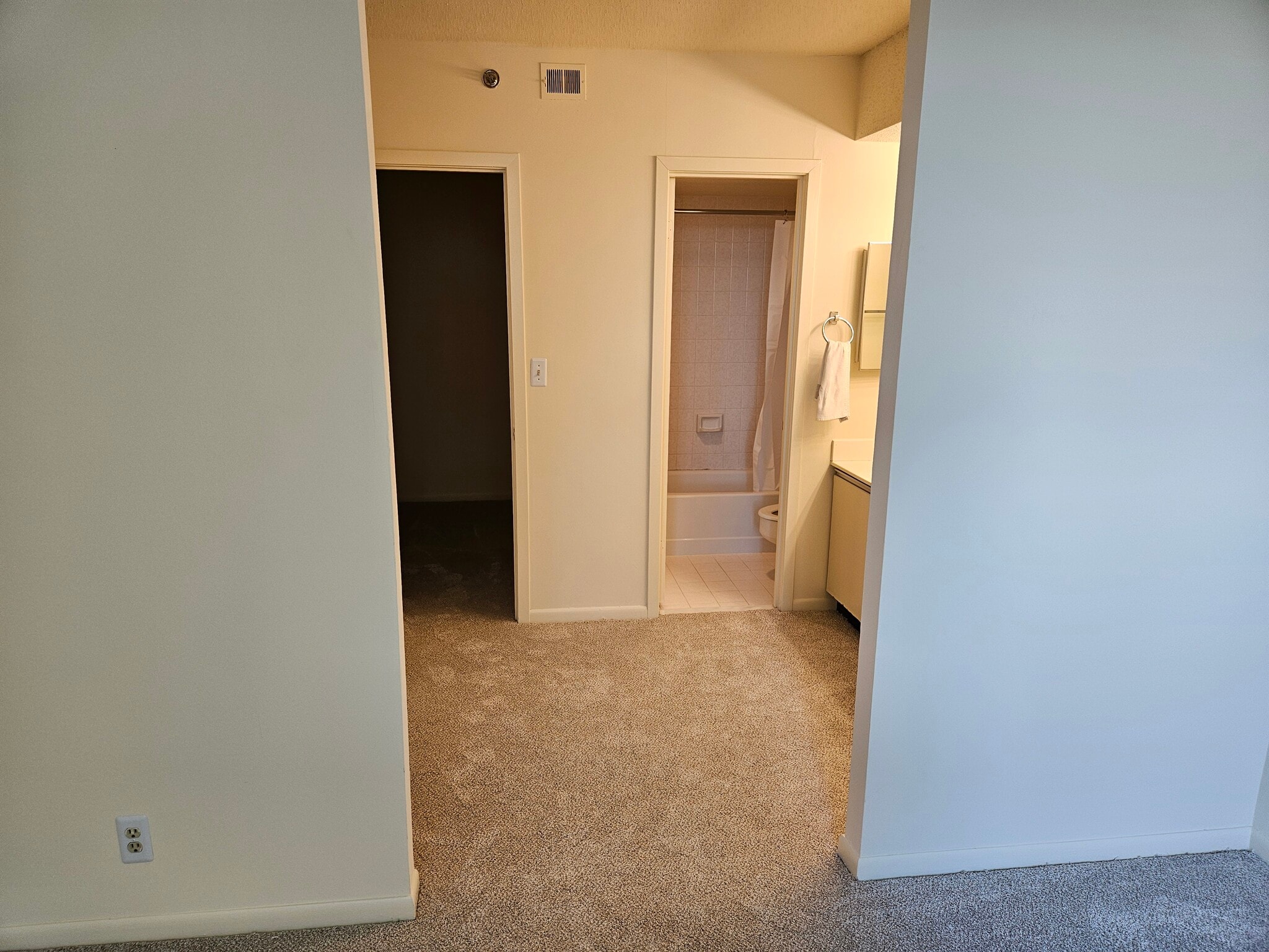 Master BR to Bath, Walk-in Closet - 5505 Seminary Rd