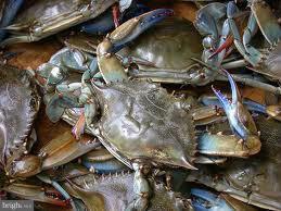 Building Photo - 1219 Bayside Rd