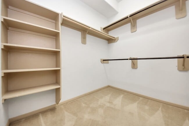 Building Photo - 3223 Aegean Dr