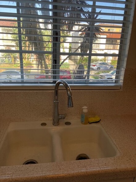 Designer pull down kitchen faucet - 1123 S Wooster St