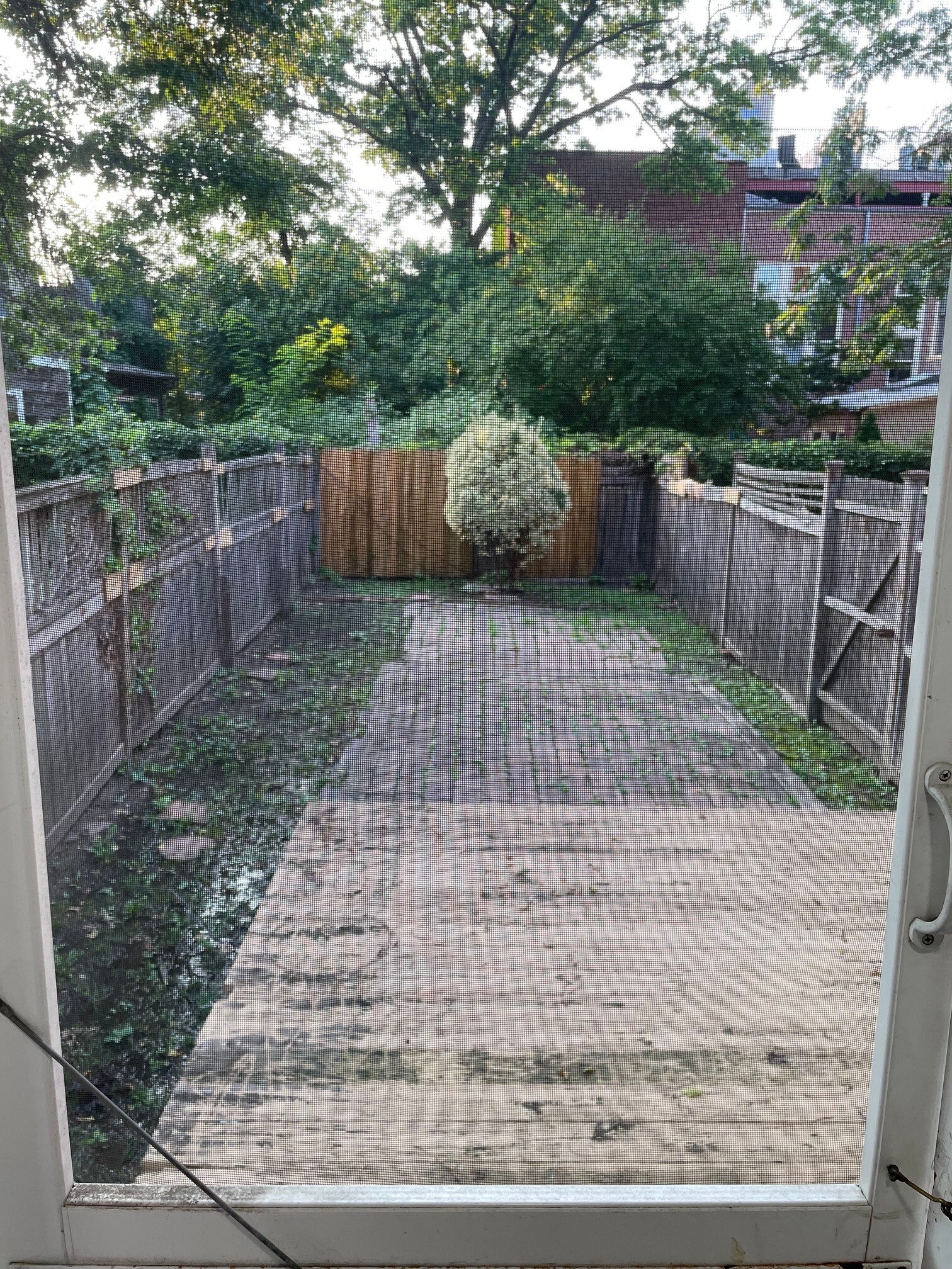Backyard - 412 Market St