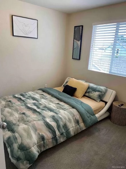 Building Photo - 4543 Crestone Peak St