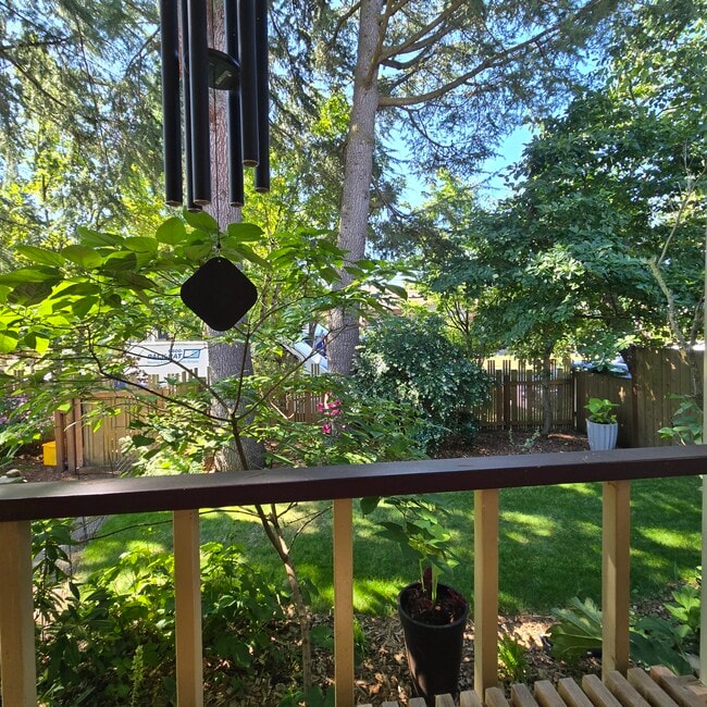 view of the street from the porch in summer - 555 N Simpson St