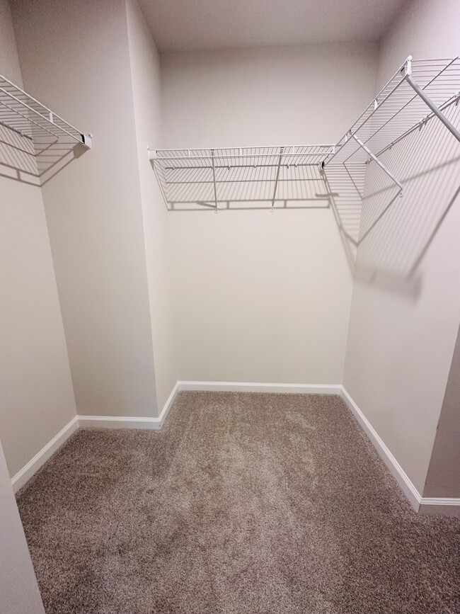 Primary walk-in closet - 12012 Gambrell Dr