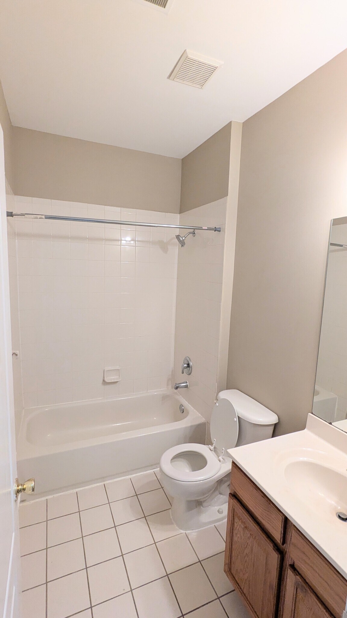 Guest Bath - 834 Dominick Ct