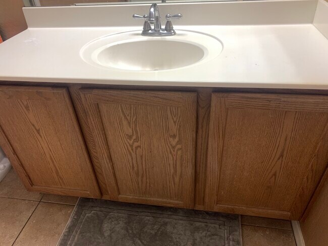 sink - 3250 W Greenway Rd