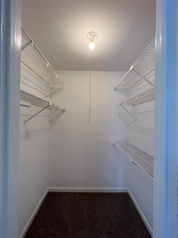 Building Photo - 11710 Stone Bridge Dr