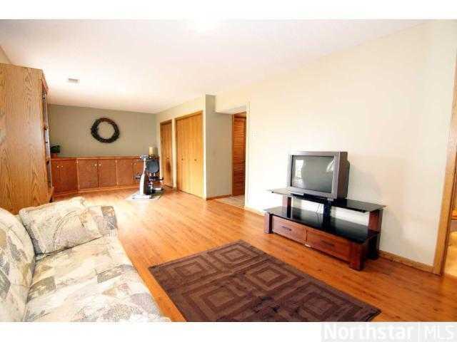 Lower Level Bonus Room - 7531 Afton Rd