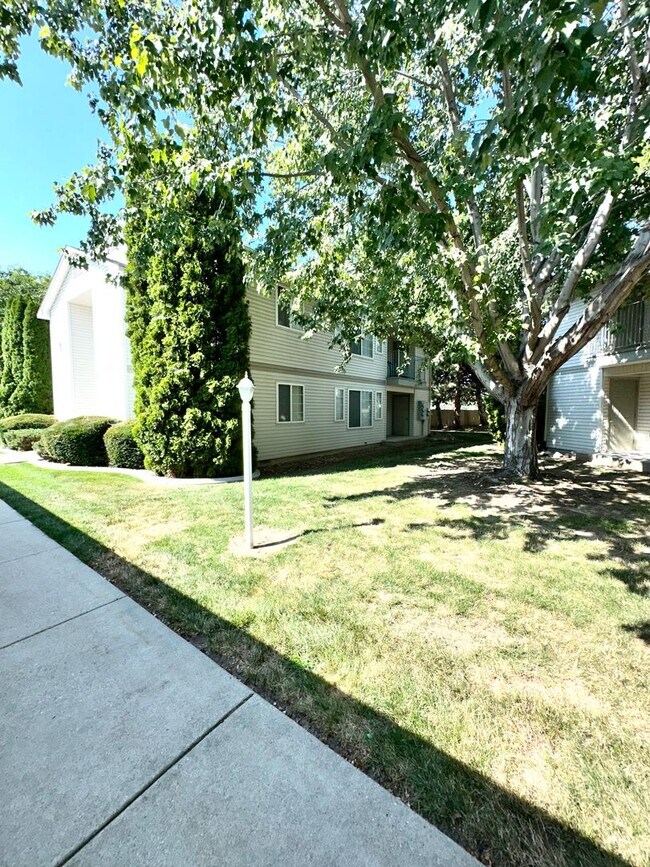 Building Photo - Affordable living at The Westside Apartments