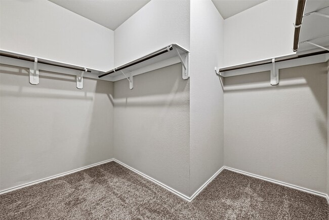 Building Photo - 2511 Sandbar Shark Ct
