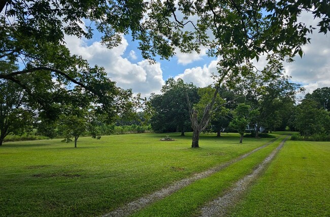 Building Photo - Exquisite 3-Bed, 3-Bath Country Retreat in...