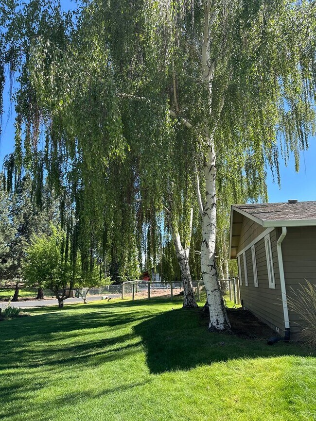 Building Photo - 3 Bed | 2 Bath | 1.17 Acres | Single-Level Home | Mountain Views