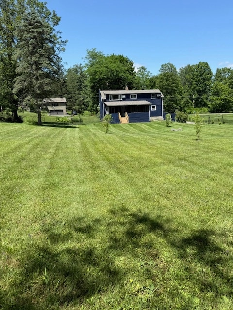 Back Yard - 178 New Lenox Rd