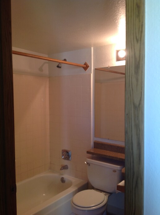 Building Photo - Charming Studio Home in City Center Aurora!
