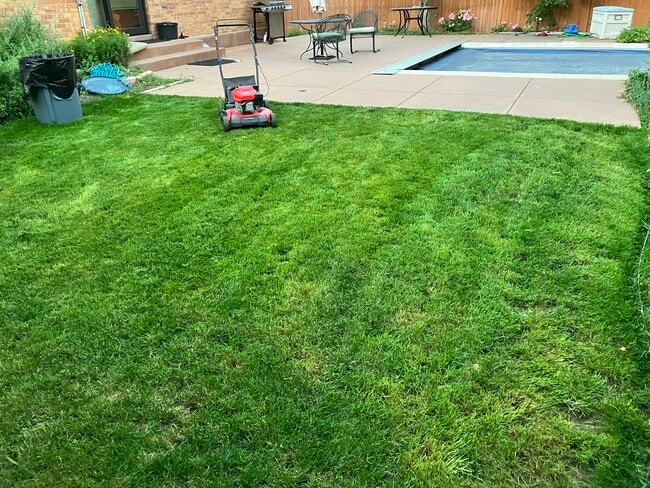 Building Photo - 1478 S Moline St