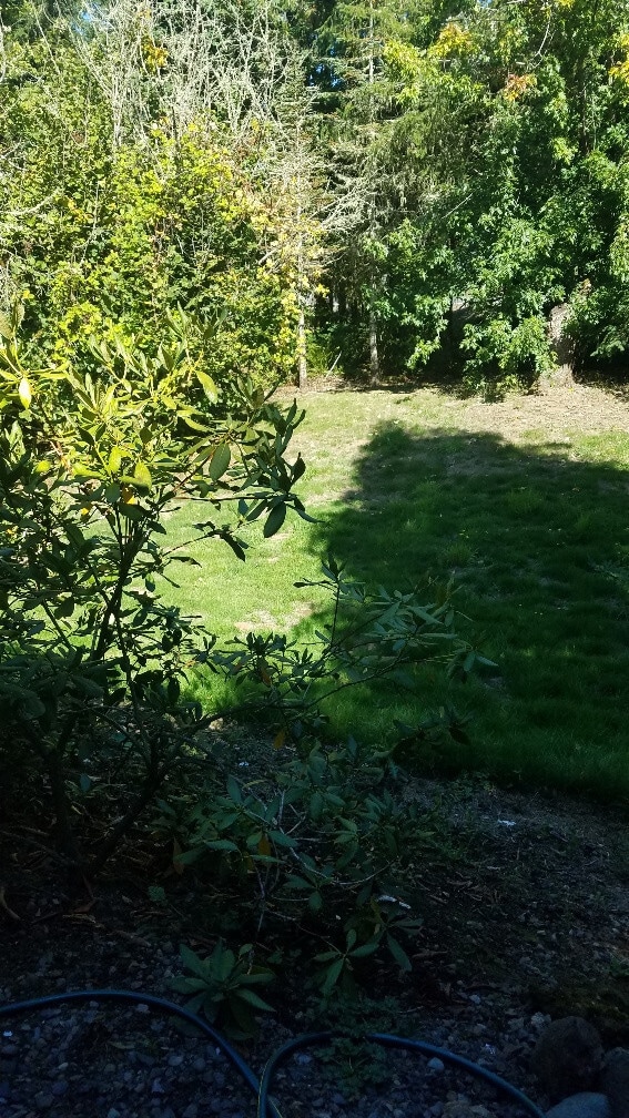 Building Photo - STATUS: UNAVAILABLE; RENTED - R106 $1895  ...