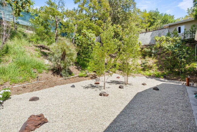 Backyard - 11411 Dona Pegita Dr