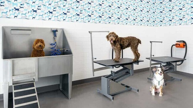 Building Photo - 15250 Quorum Dr