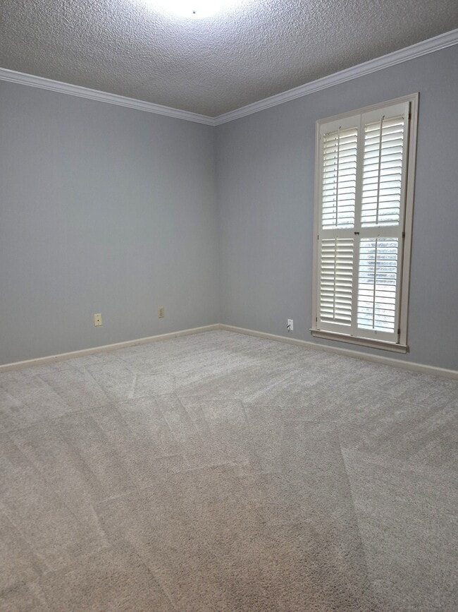 Building Photo - 116 Princeton Ln