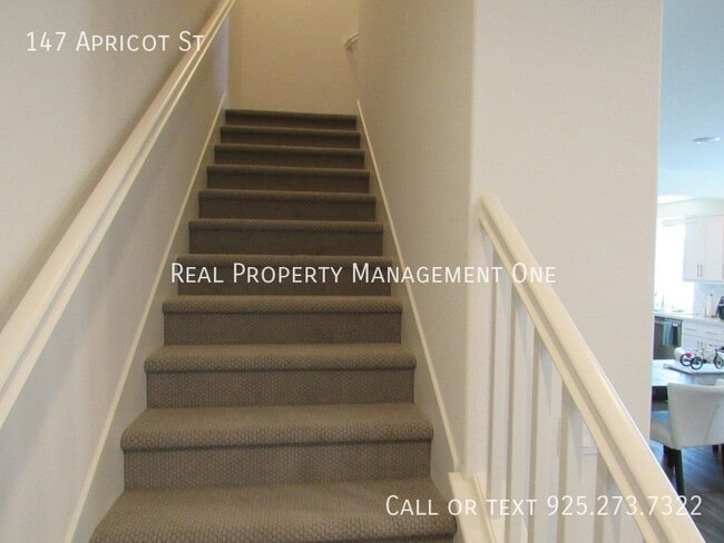 Building Photo - 147 Apricot St