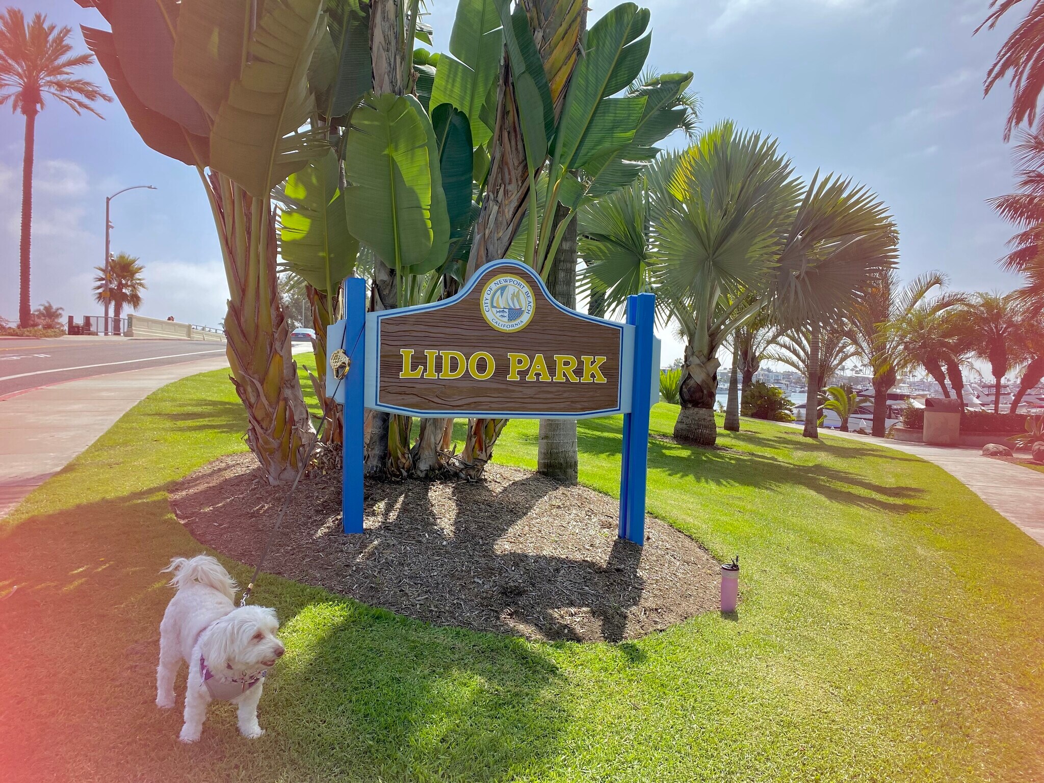 Walk to neighborhood Lido park - 700 Lido Park Dr