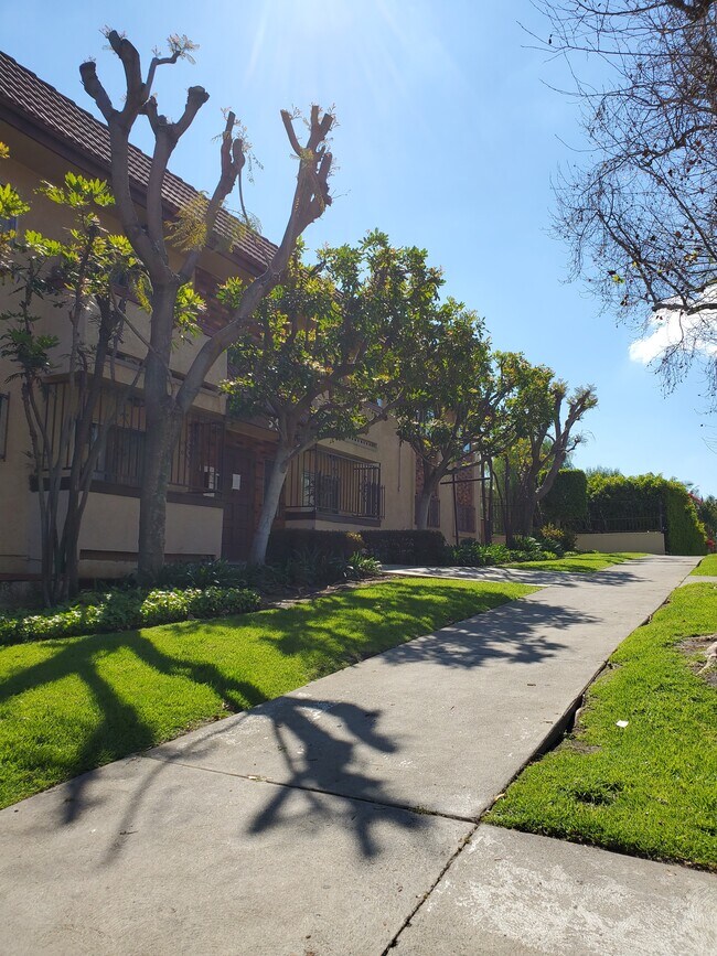 Primary Photo - Mariposa Apartments