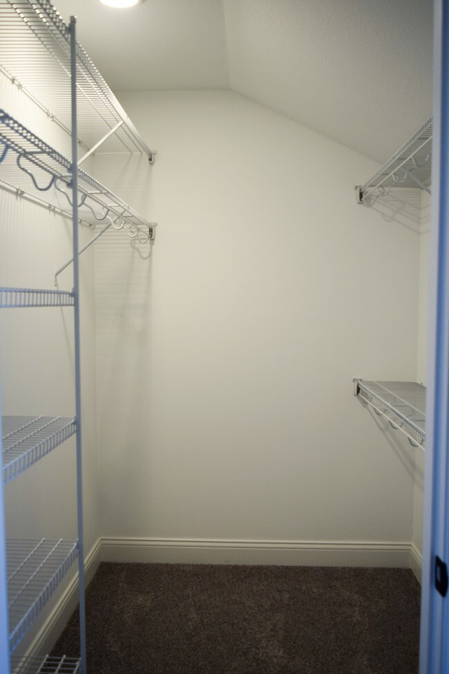 Building Photo - 800 Sedgegrass Dr