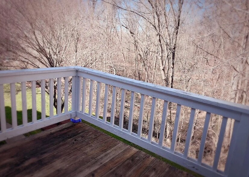 Back porch (private) - 648 Balfour Rd