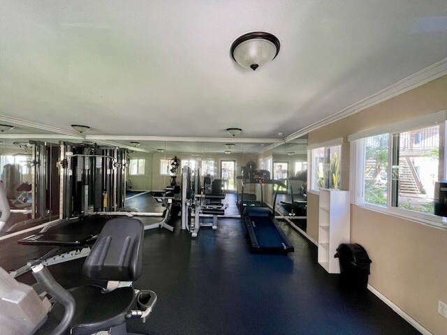 Building Photo - 10186 Camino Ruiz