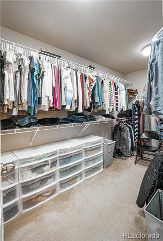 Building Photo - 6010 Traditions Dr