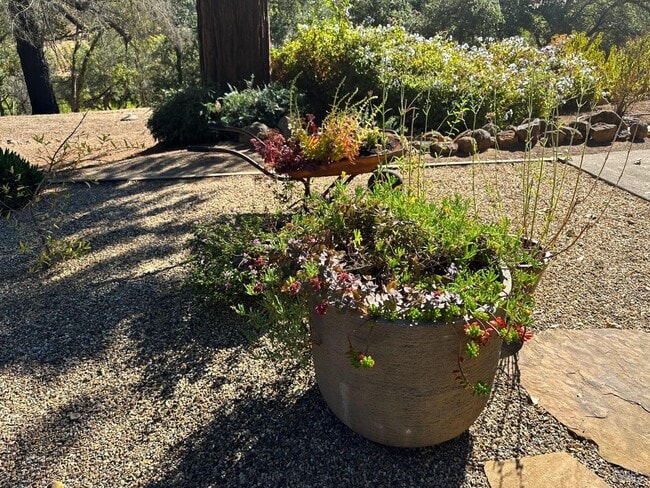 Building Photo - 926 Champion Ln