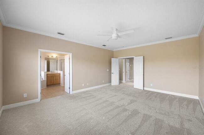 Building Photo - 7246 Conch Blvd