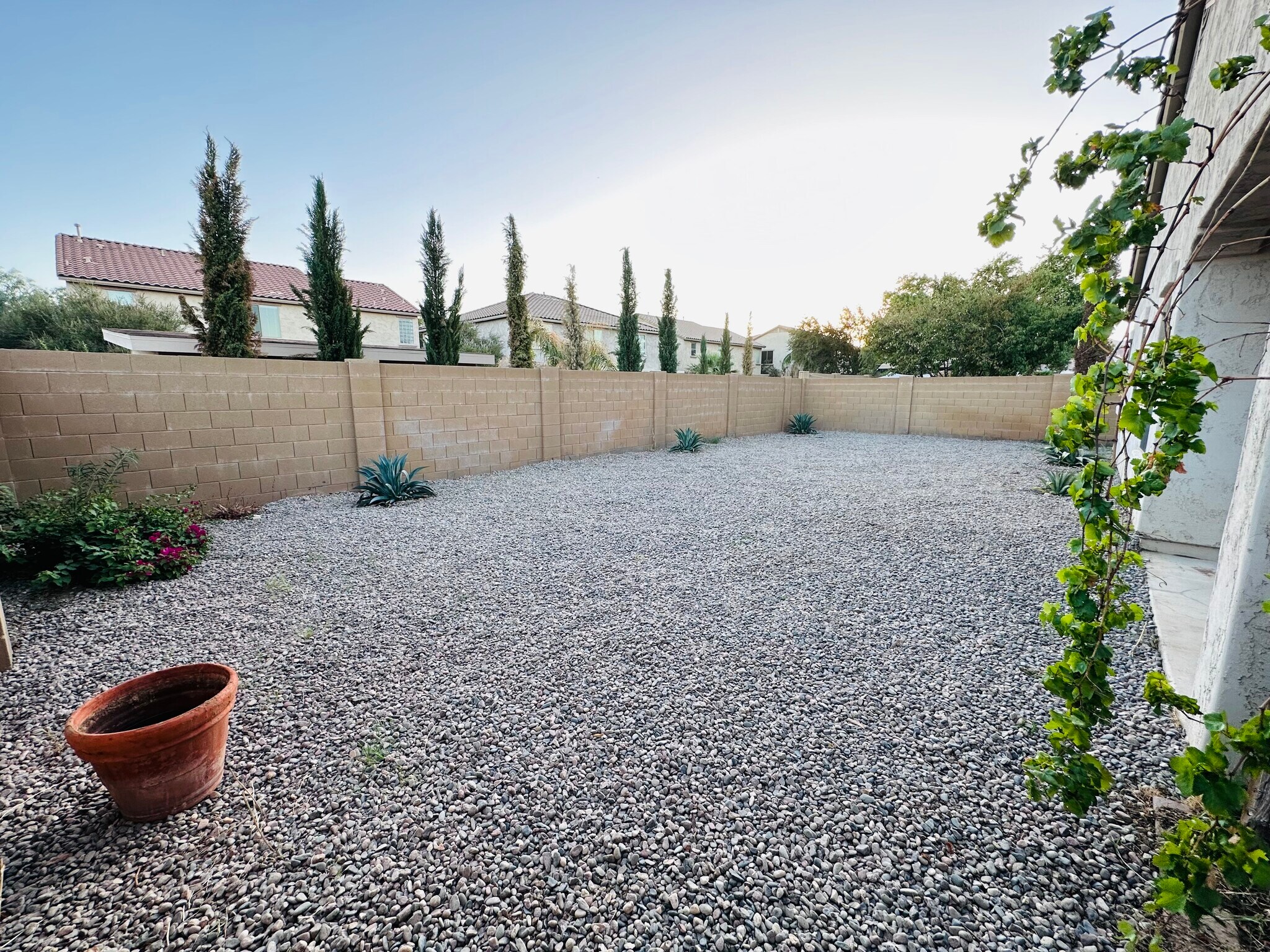 Low maintenance backyard - 18215 W Townley Ave