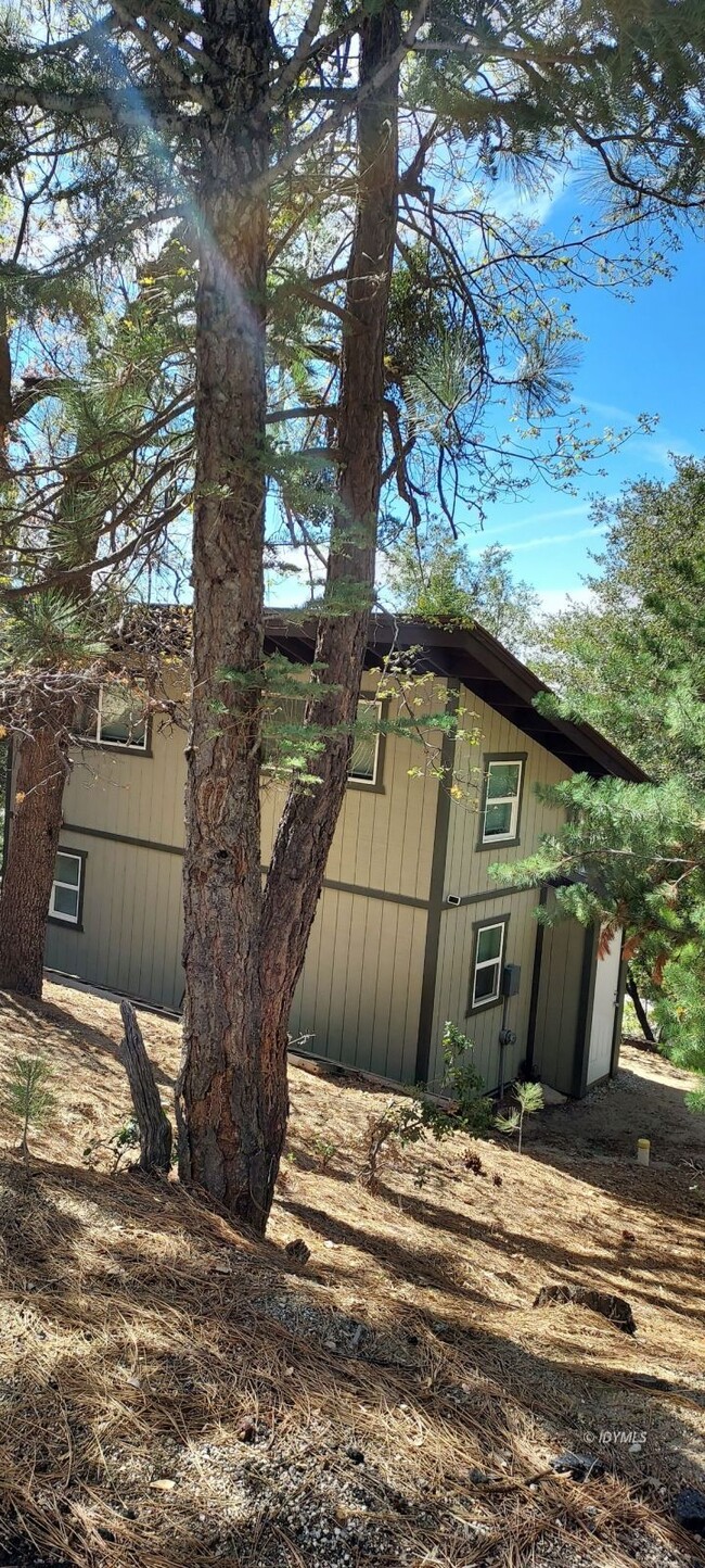 Building Photo - Move-In Ready Newer Tiny Home in The Forest