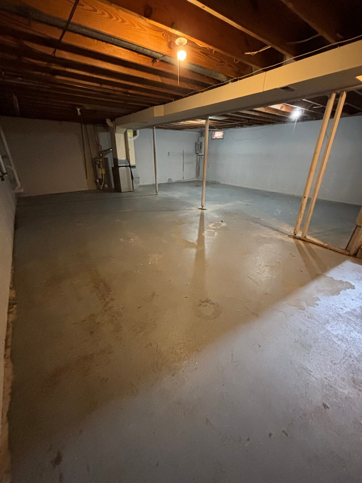 Building Photo - 908 Vincent Ct