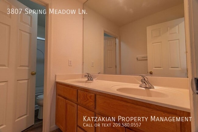 Building Photo - 3807 Spring Meadow Ln