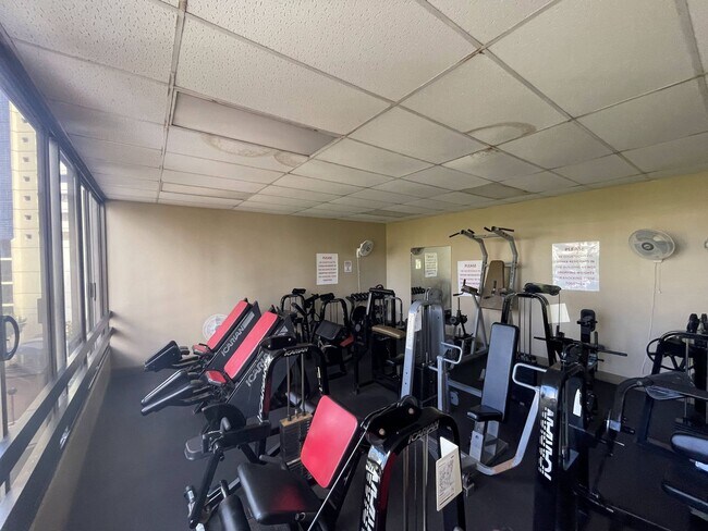 Building Photo - Waikiki, Pet Friendly. Central AC