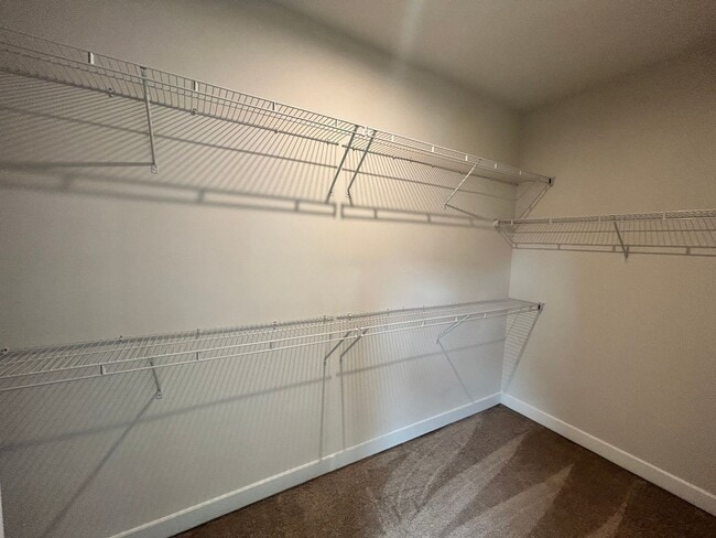 Building Photo - 14361 Revelry Blvd